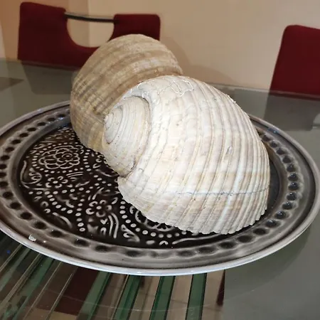 Apartament Vacation House